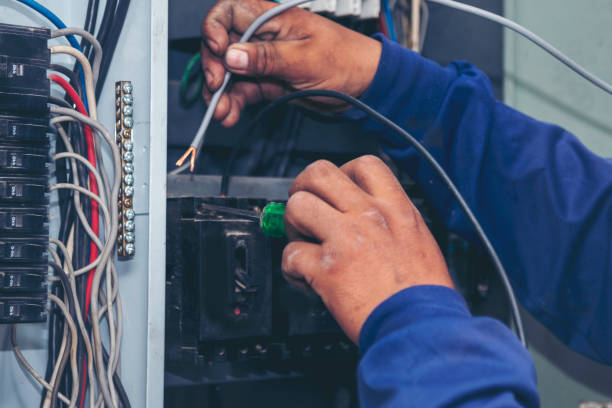 Best Ceiling Fan Installation Electrician  in Palmdale, CA