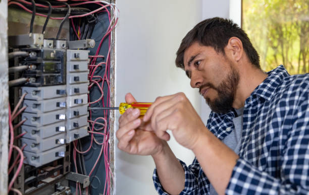 Best Electric Panel Repair  in Palmdale, CA